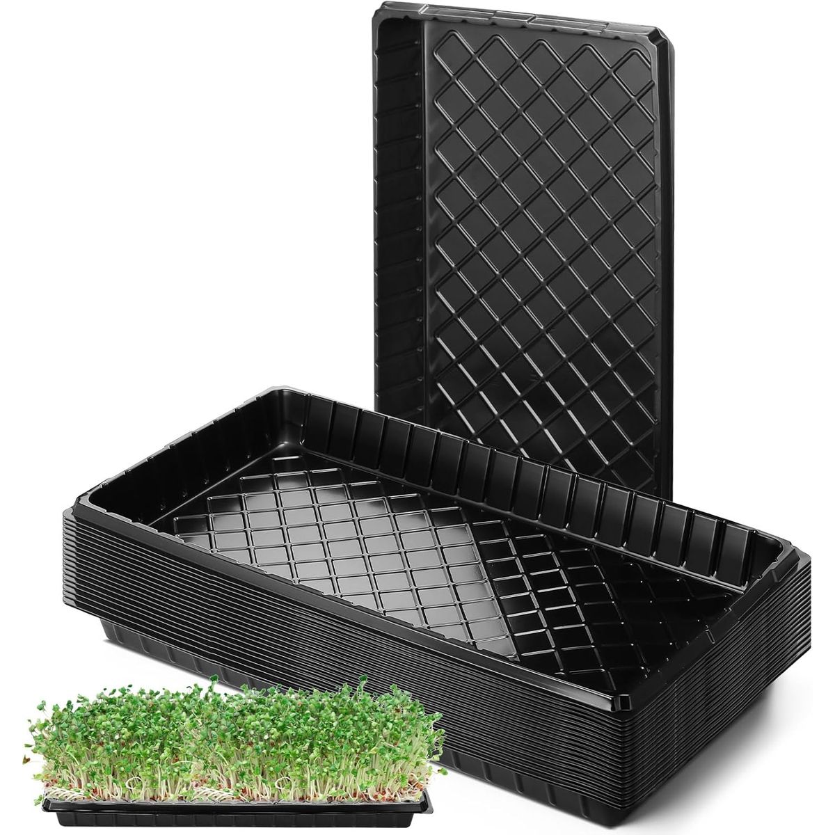 KUANGYE - Set 10× Bandeja Germinación Hidroponía Forraje Sin Agujeros