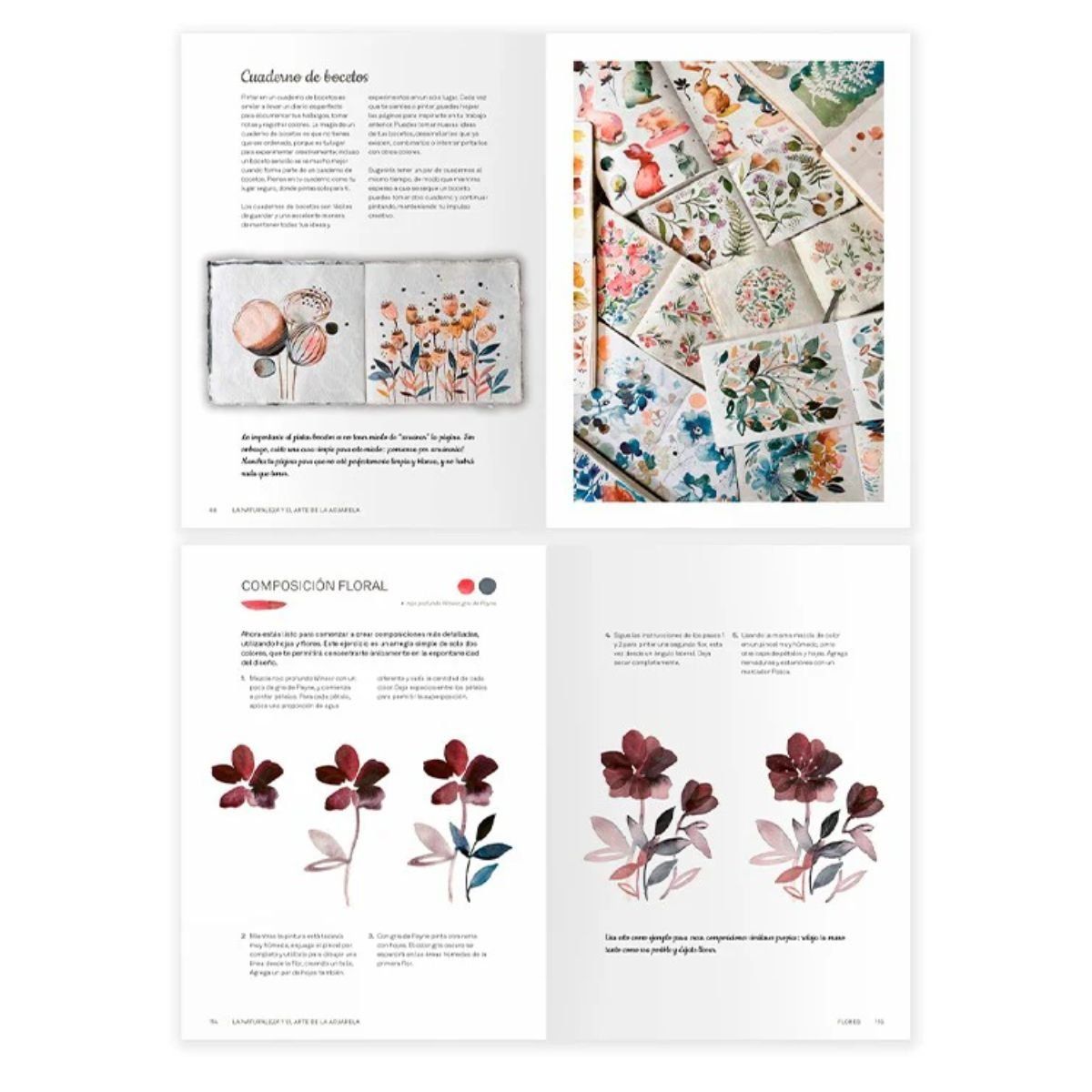 CONTRAPUNTO - Libro La Naturaleza y el Arte de la Acuarela Buividavice