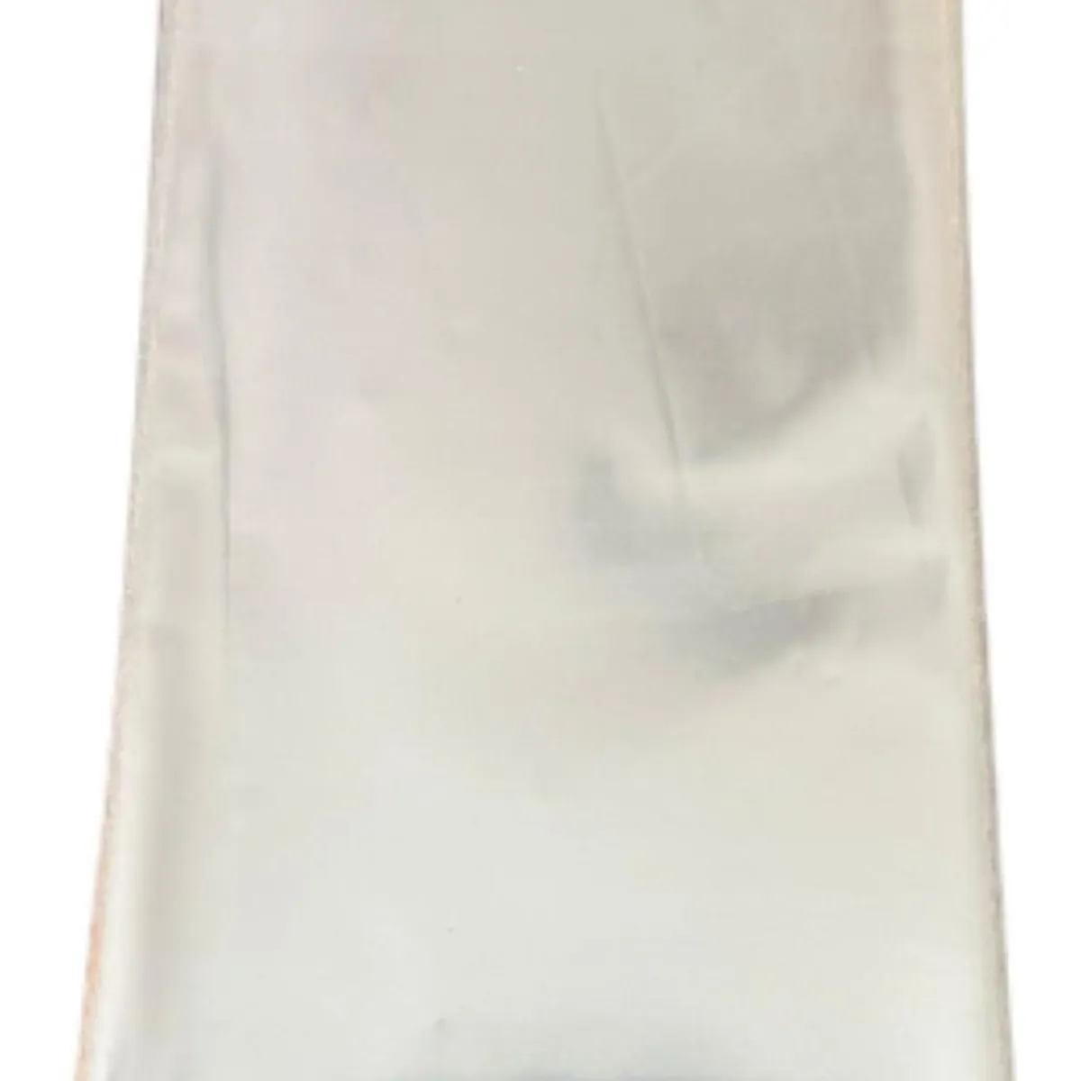 GENERICO - Bolsa Polipropileno 100un 20x10cm