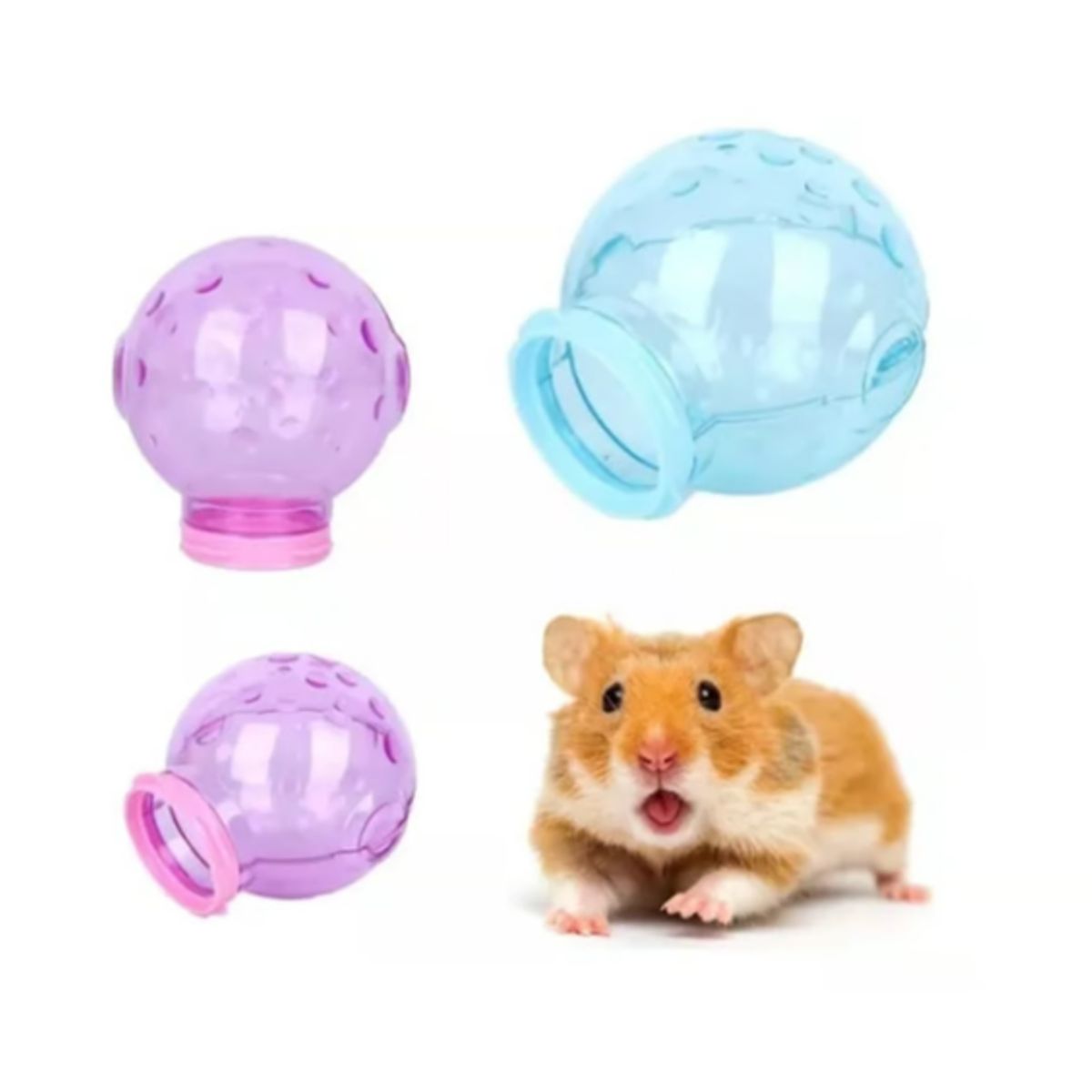 GENERICO - Baño Ducha Para Hamster Conexion Externa Para Jaulas