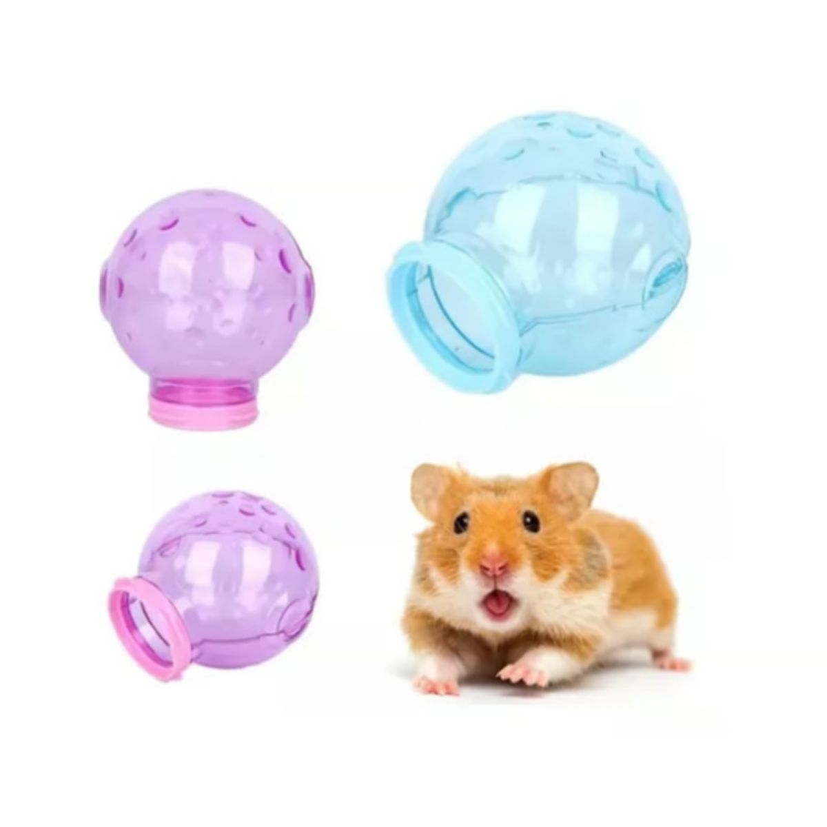 GENERICO - Baño Ducha Para Hamster Conexion Externa Para Jaulas