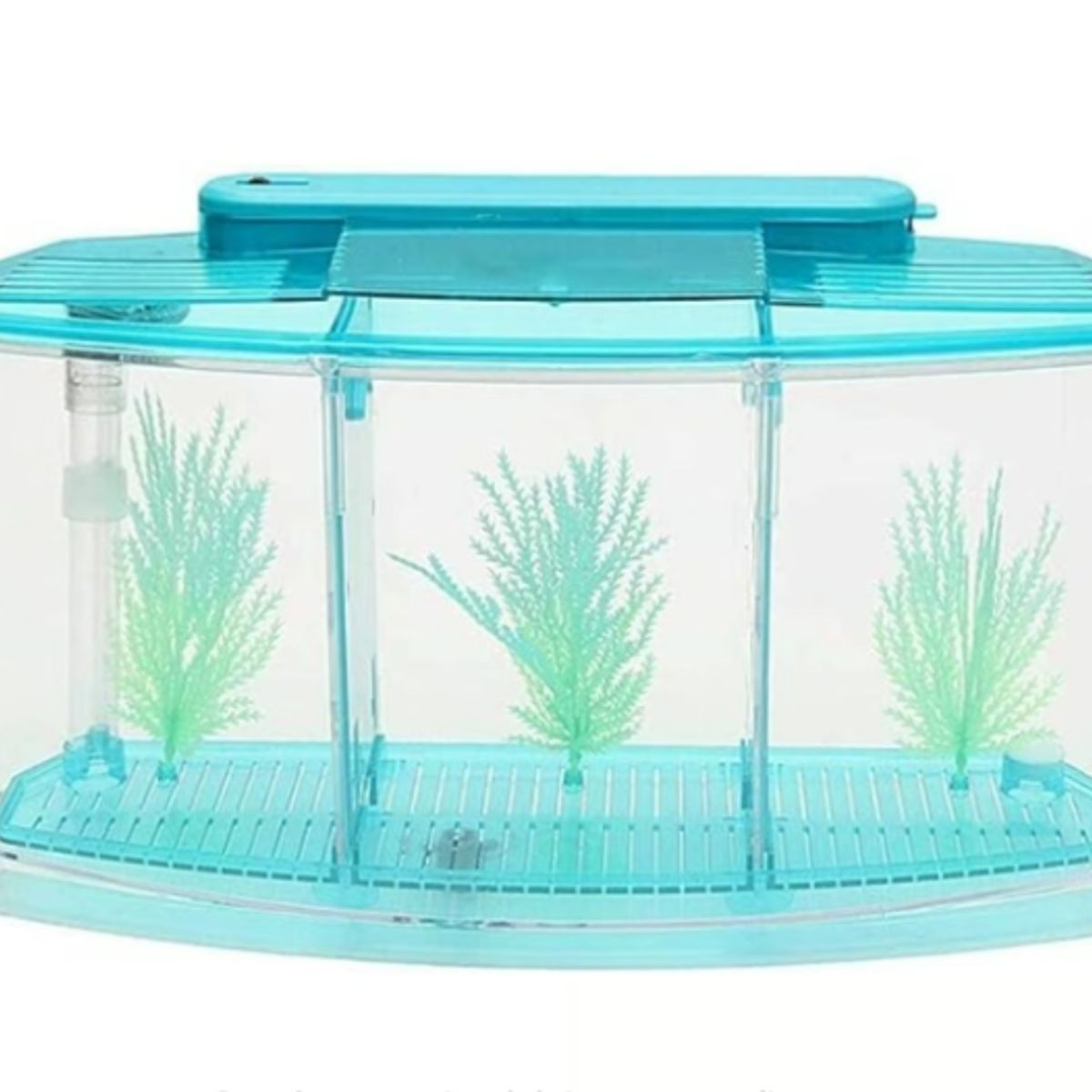 GENERICO - Mini Pecera Caja Cubo Betta Acuario Separaciones