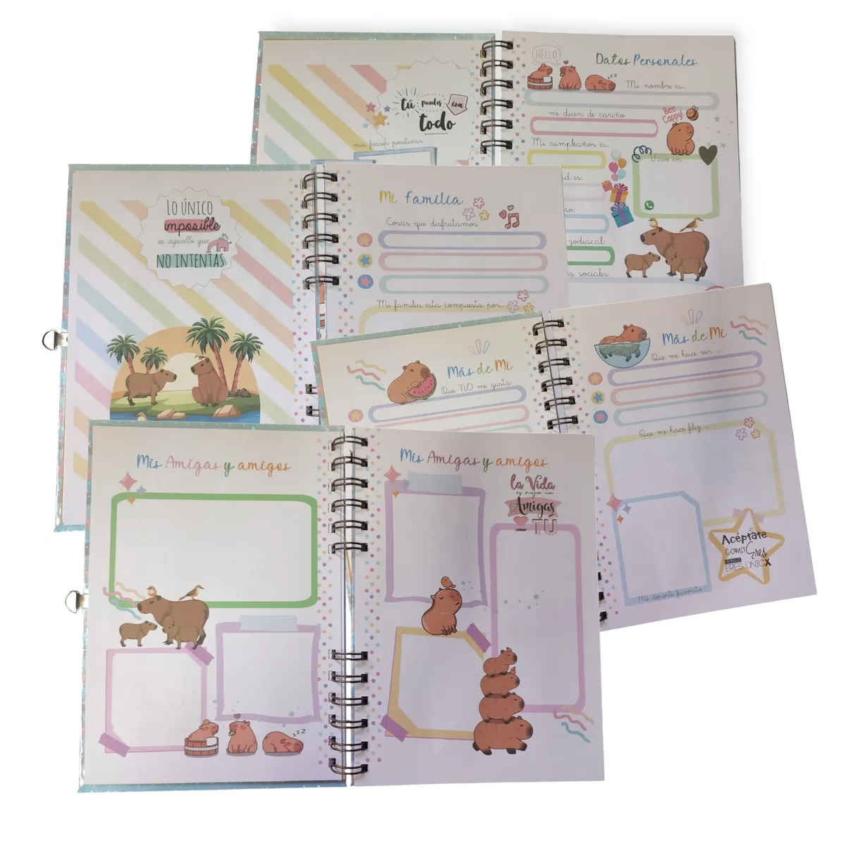 INDEPENDIENTE - Mi Primer Diario De Vida Capibara para niñas