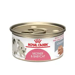 ROYAL CANIN - Alimento Mother Y Baby Cat - Lata 145g