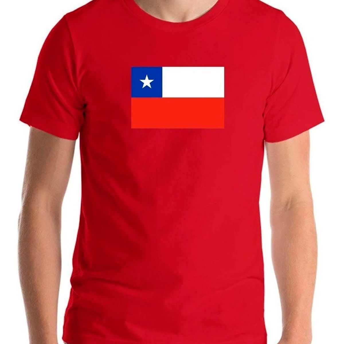 GENERICO - Polera Bandera Chile Fiestas Patrias Viva Chile Amor Chile H