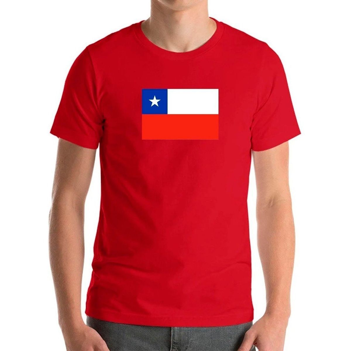 GENERICO - Polera Bandera Chile Fiestas Patrias Viva Chile Amor Chile H