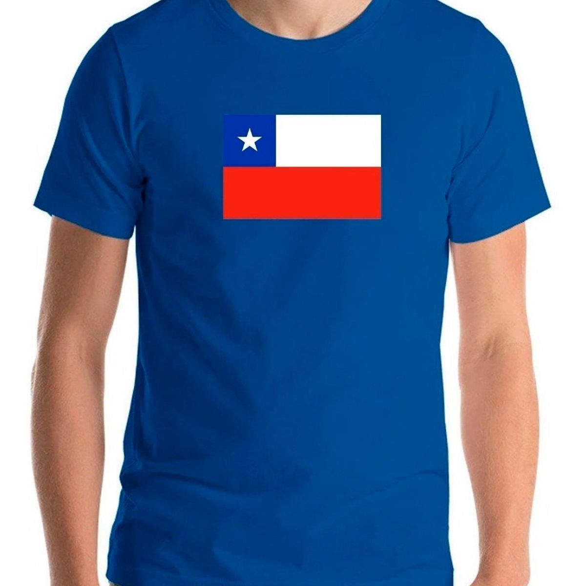 GENERICO - Polera Bandera Chile Fiestas Patrias Viva Chile Amor Chile H