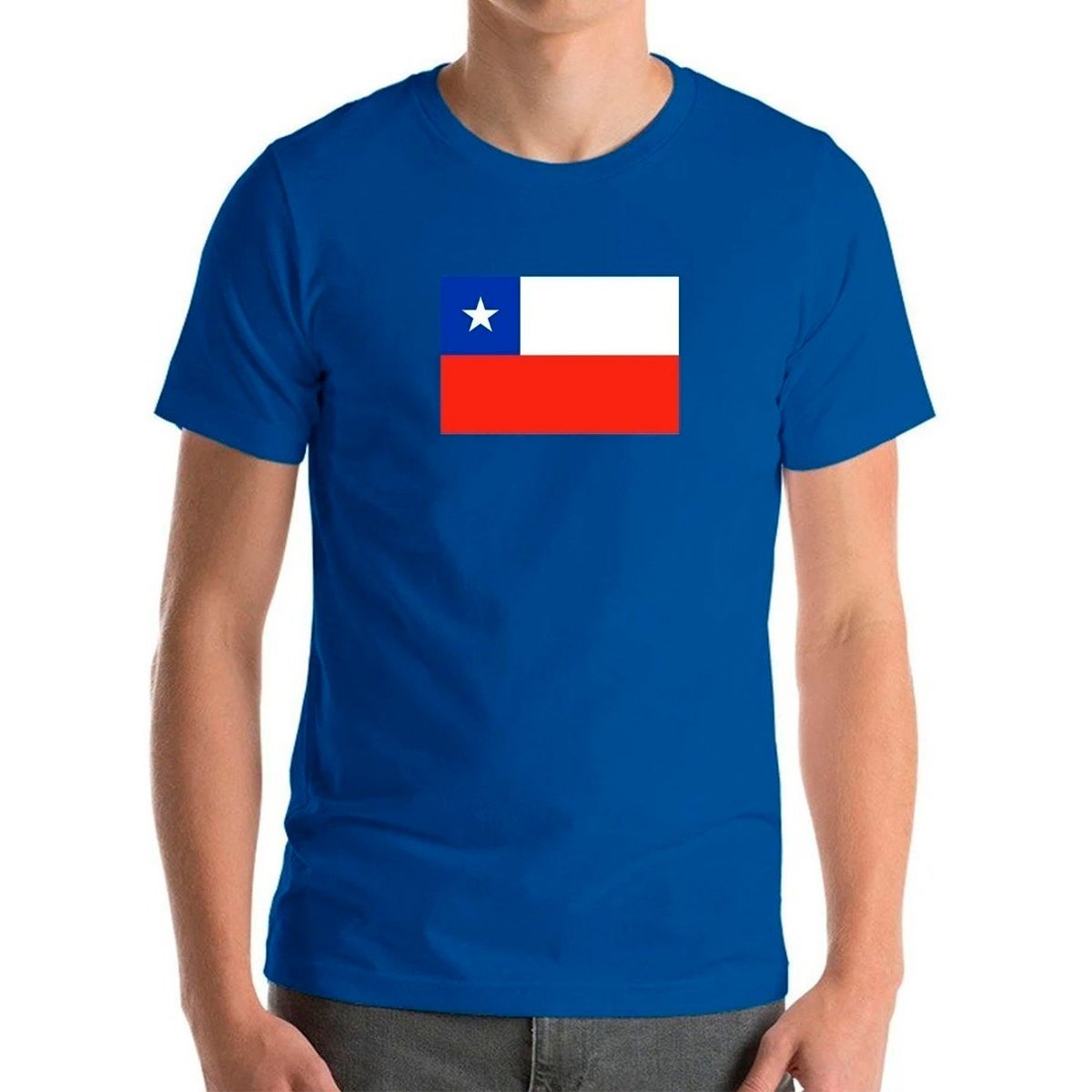 GENERICO - Polera Bandera Chile Fiestas Patrias Viva Chile Amor Chile H