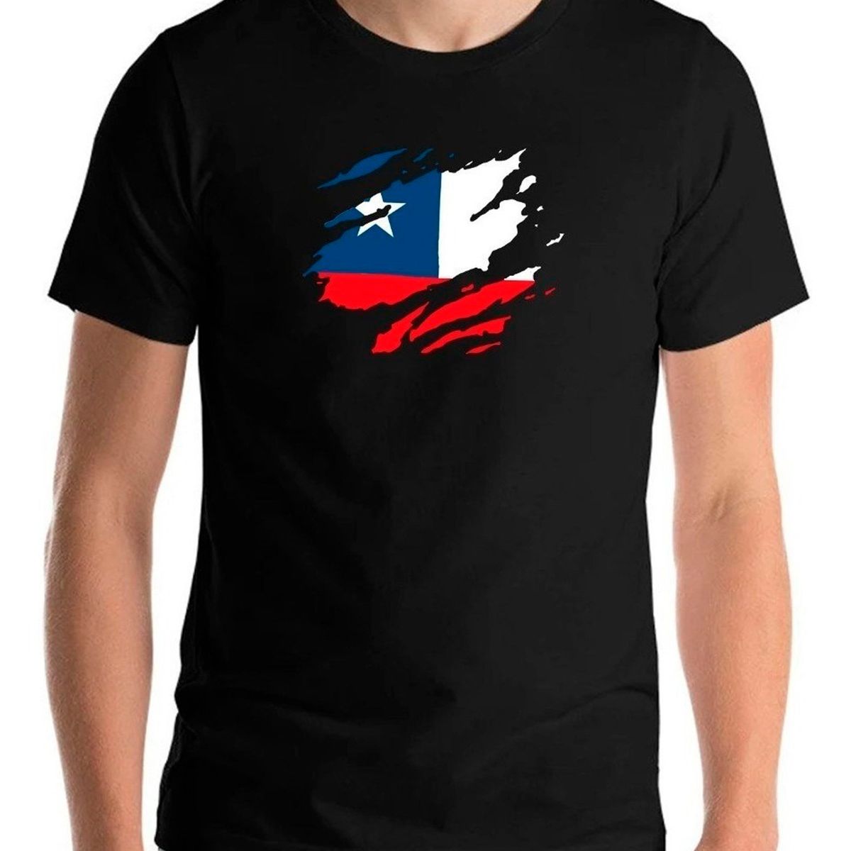 GENERICO - Polera Chileno De Corazon Chilenidad Futbol Fiestas Patrias
