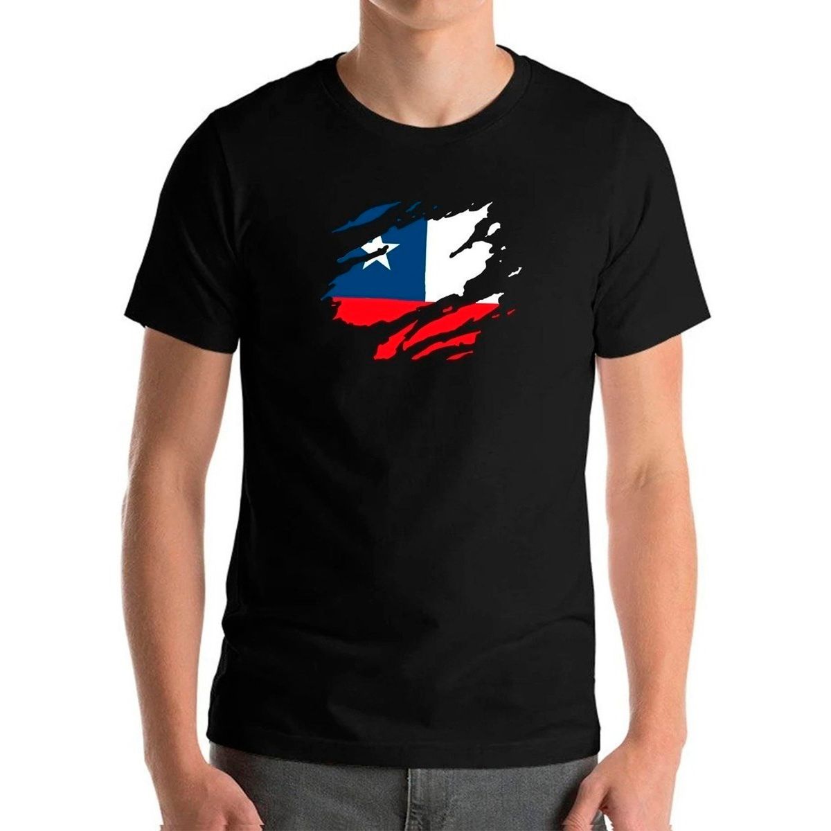 GENERICO - Polera Chileno De Corazon Chilenidad Futbol Fiestas Patrias