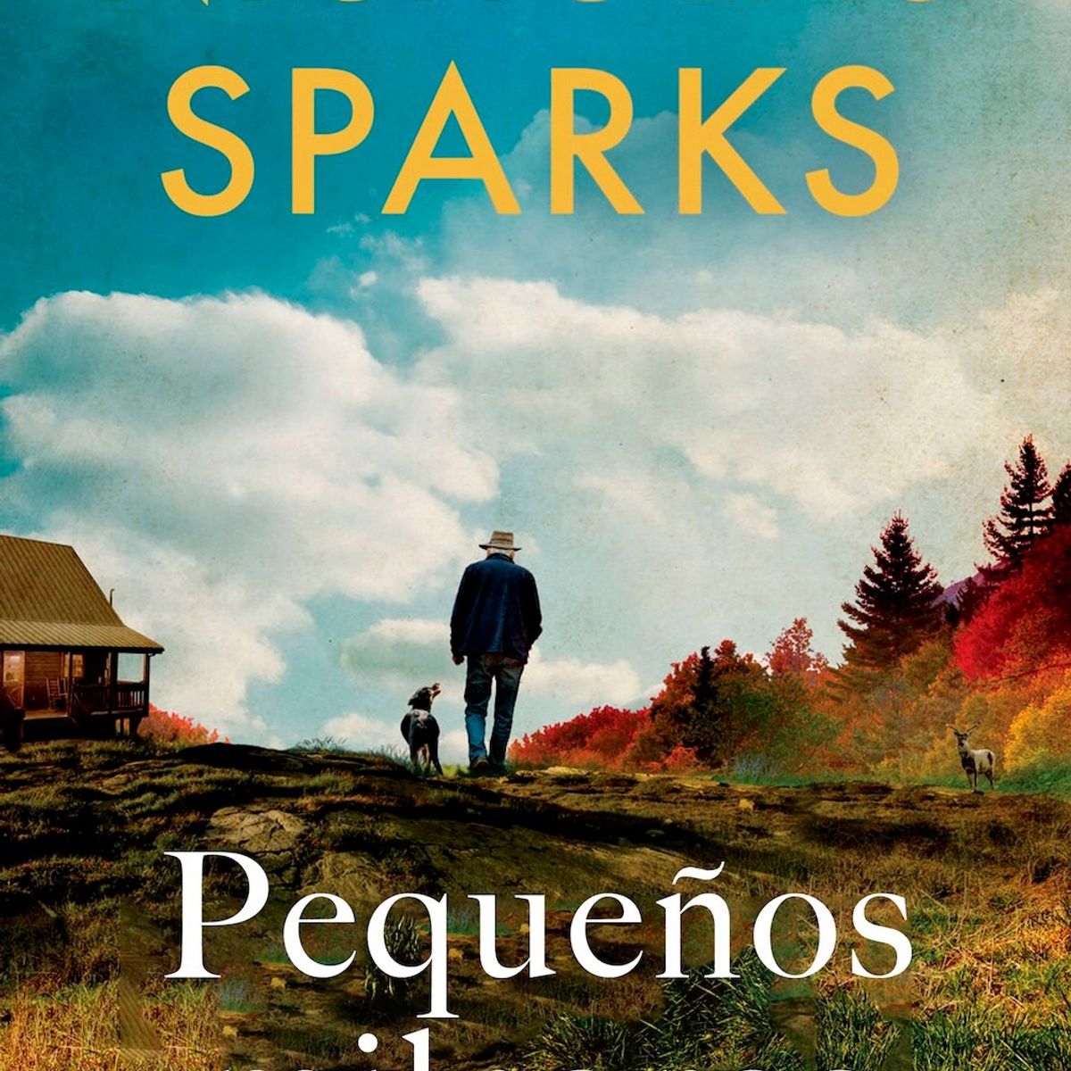 ROCA EDITORIAL - Libro Pequeños milagros - Nicholas Sparks