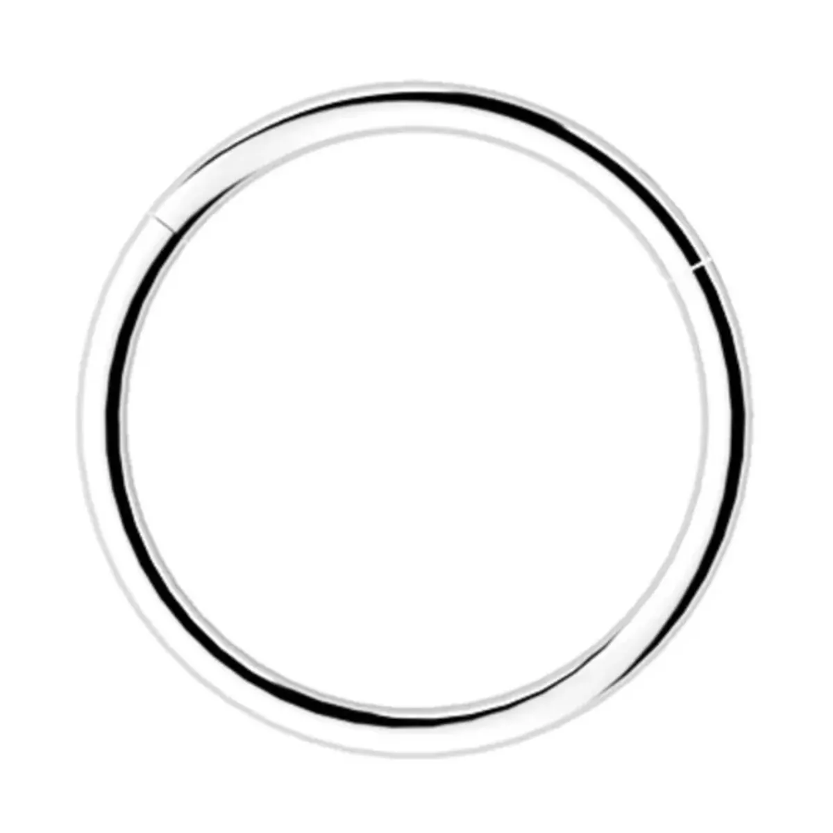 GENERICO - Piercing Argolla Segmento Acero 316 L Arn-ac 1,2x10mm 1 Un