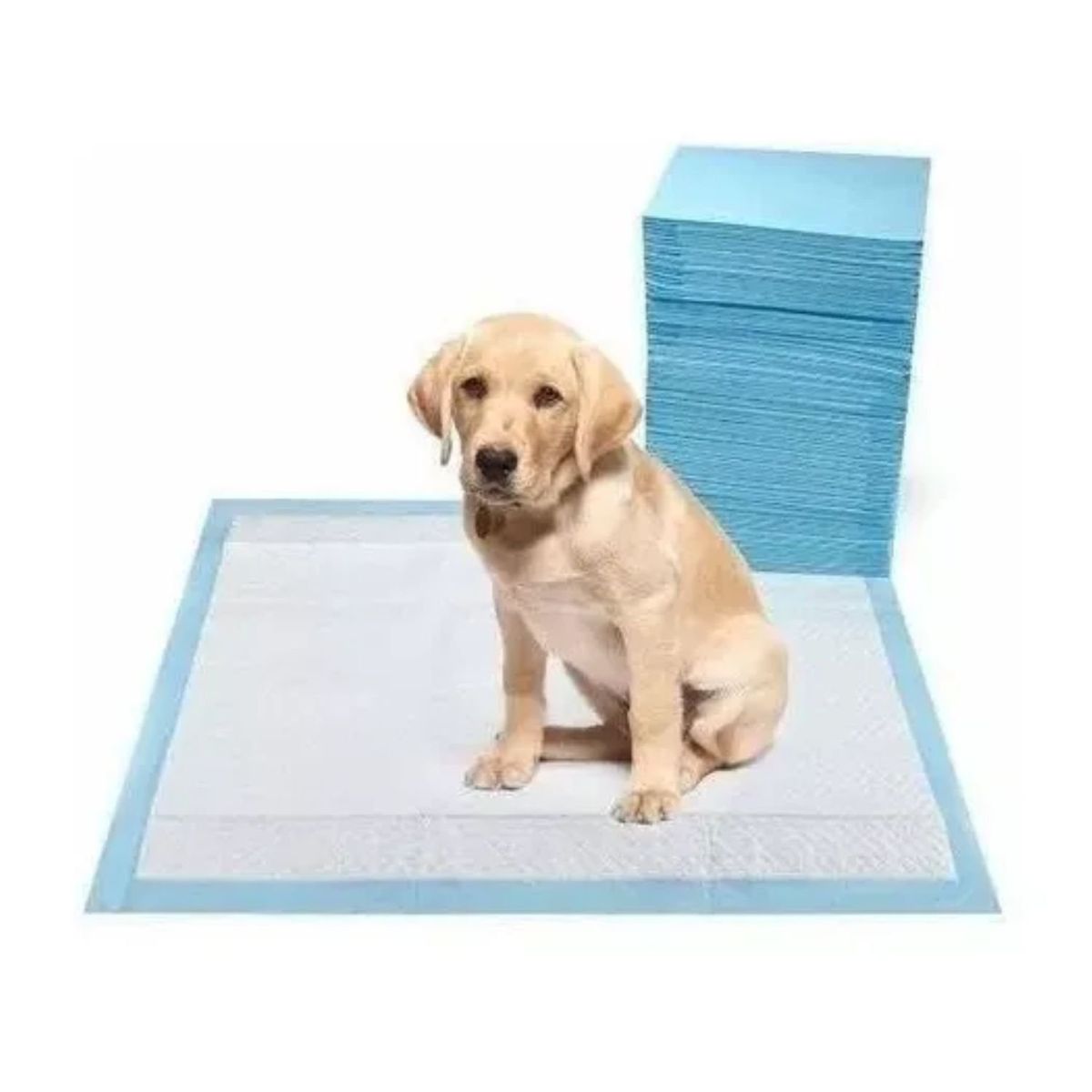 GENERICO - 50 Pañales Sabanillas Mascotas 60x90 Adhesivo Por 4 Bordes