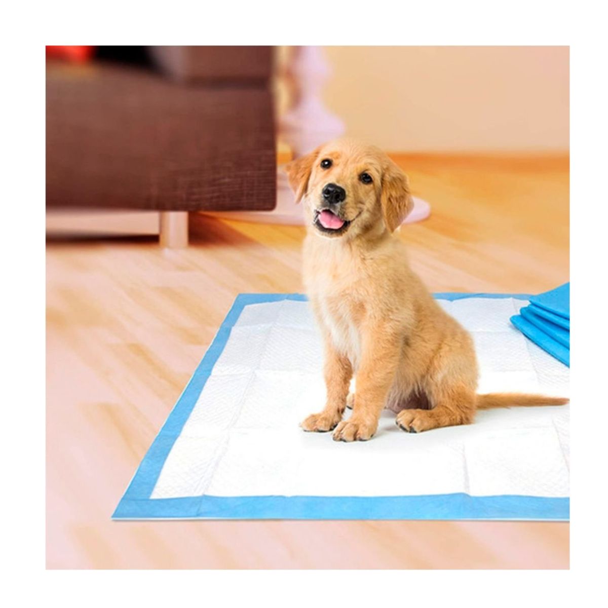 GENERICO - Sabanillas Entrenamiento para Perros 8 Unidades 45x60 Cms