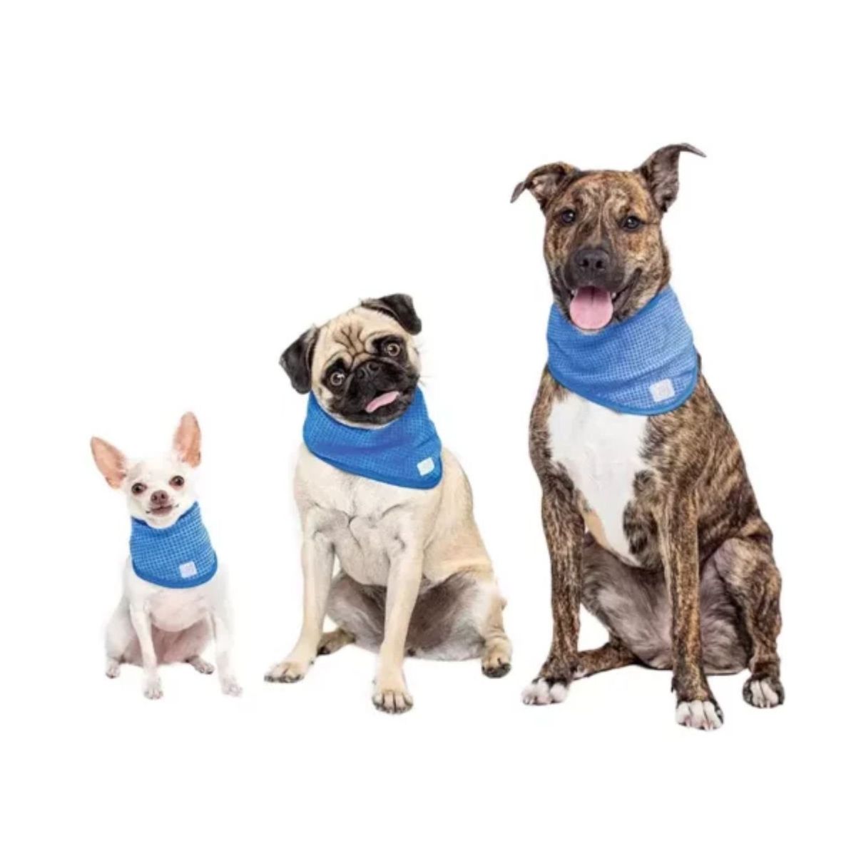 GENERICO - Collar Bandana Refrescante Para Perros Talla M 28-40cms