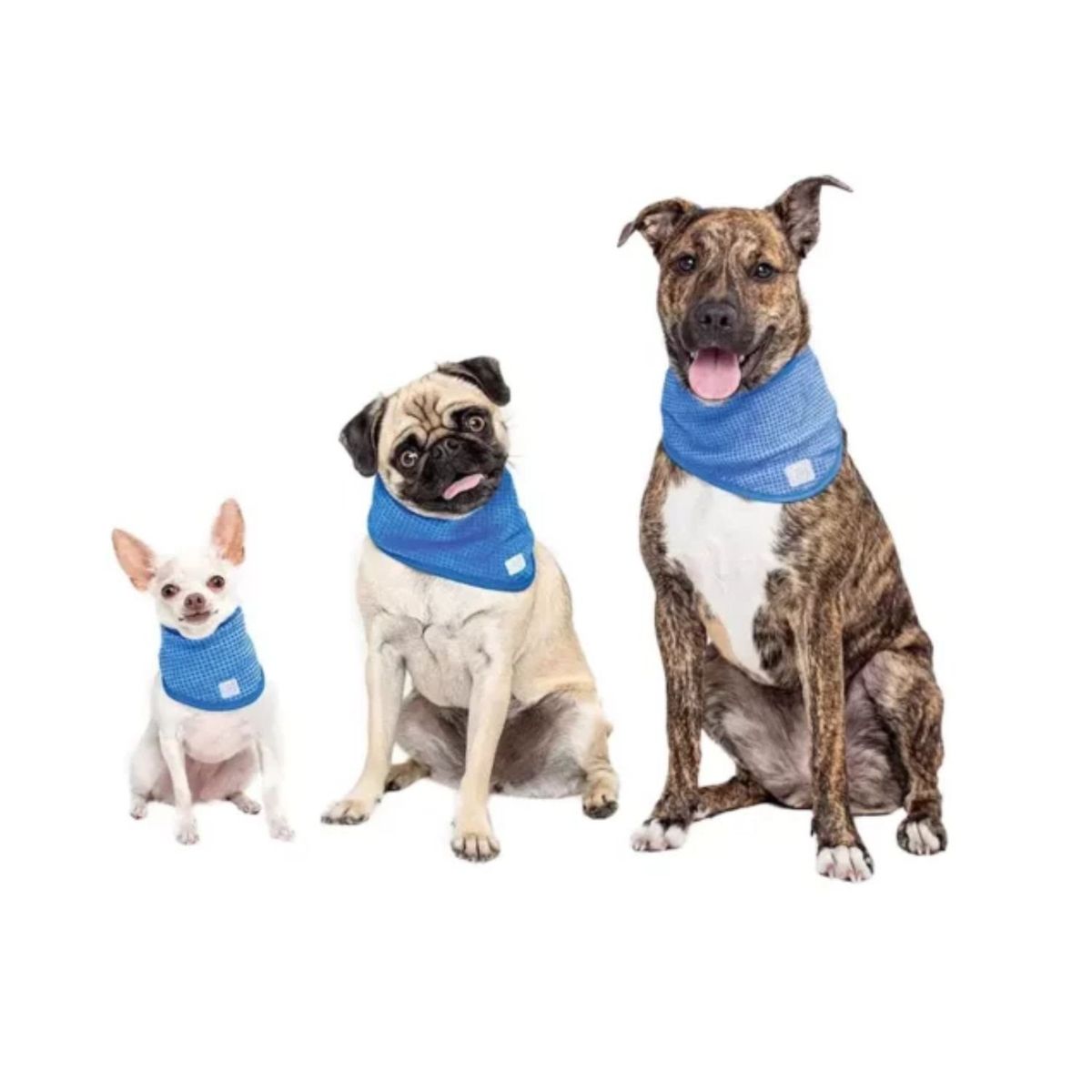 GENERICO - Collar Bandana Refrescante Para Perros Talla XL 50-62cms