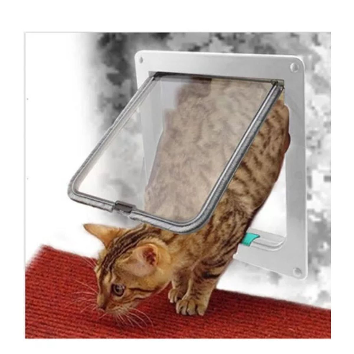 GENERICO - Puerta Para Mascotas Tamaño Grande Sistema Seguro 21x21