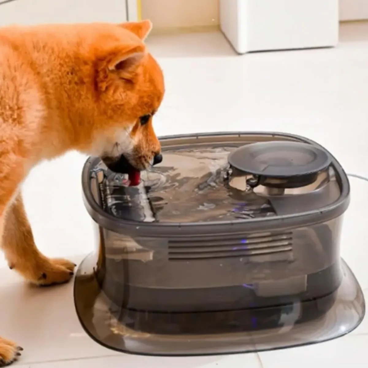 GENERICO - Fuente De Agua Silenciosa Para Mascotas Dispensador