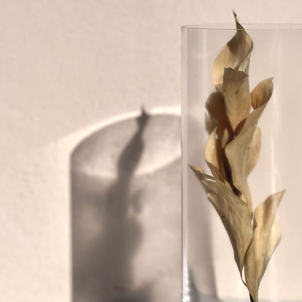 DECO EXPRESS - Florero York 25x9.9 cm