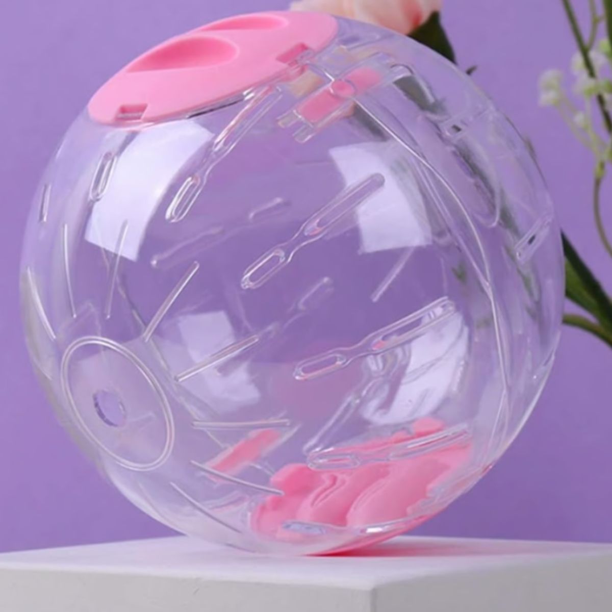 GENERICO - Pelota De Hámster De 16 Cm Bola Hámster Juguete