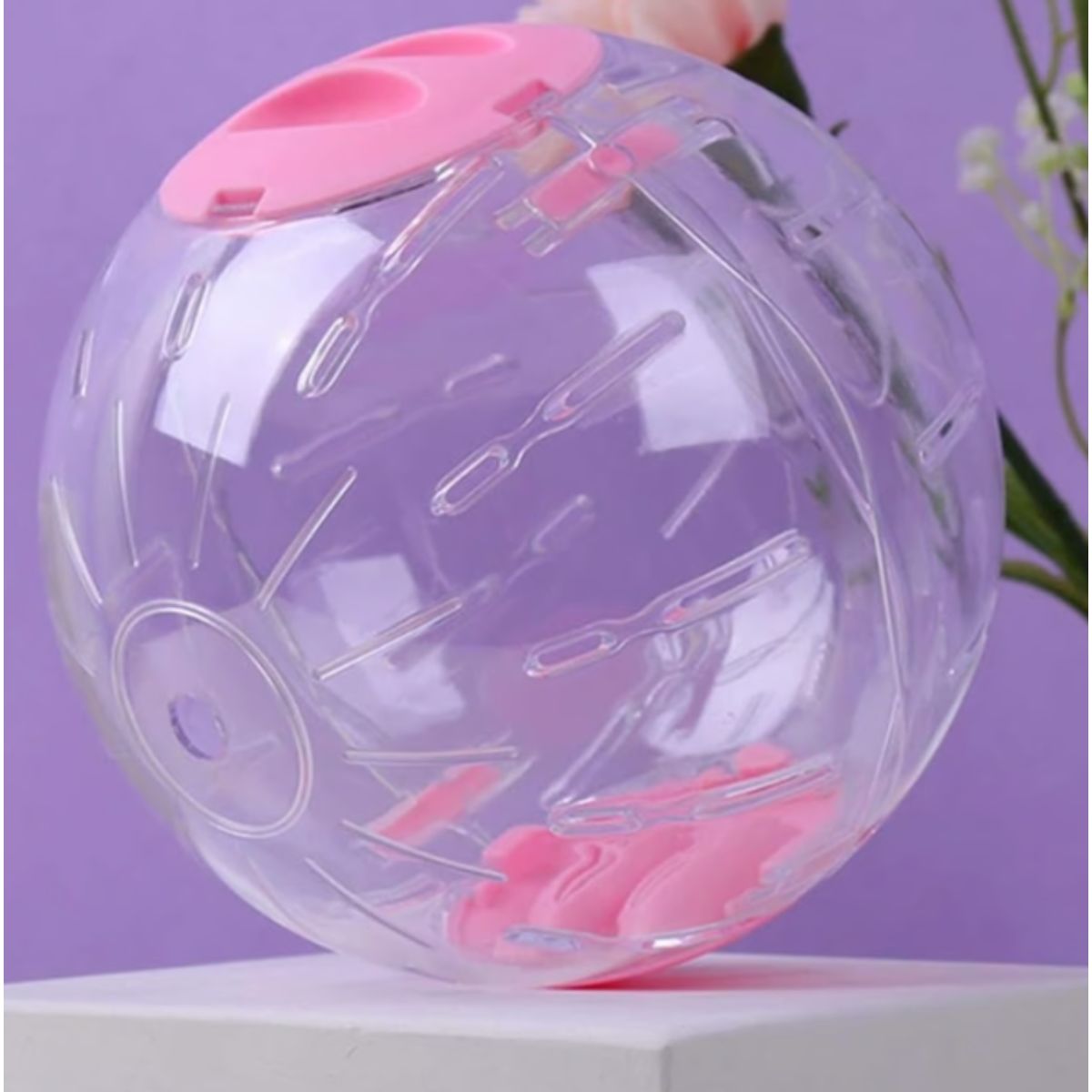 GENERICO - Pelota De Hámster De 16 Cm Bola Hámster Juguete