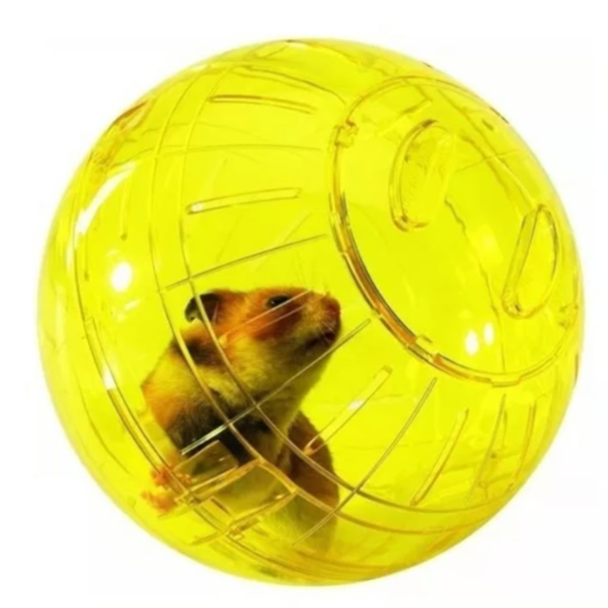 GENERICO - Bola Rueda Para Ejercicios Hamster