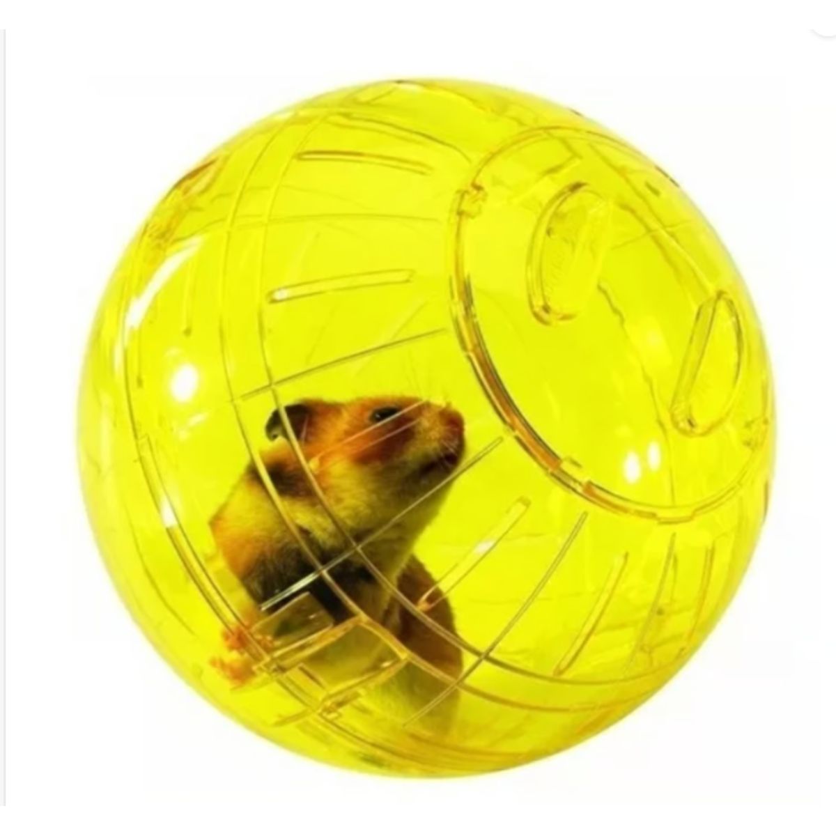 GENERICO - Bola Rueda Para Ejercicios Hamster