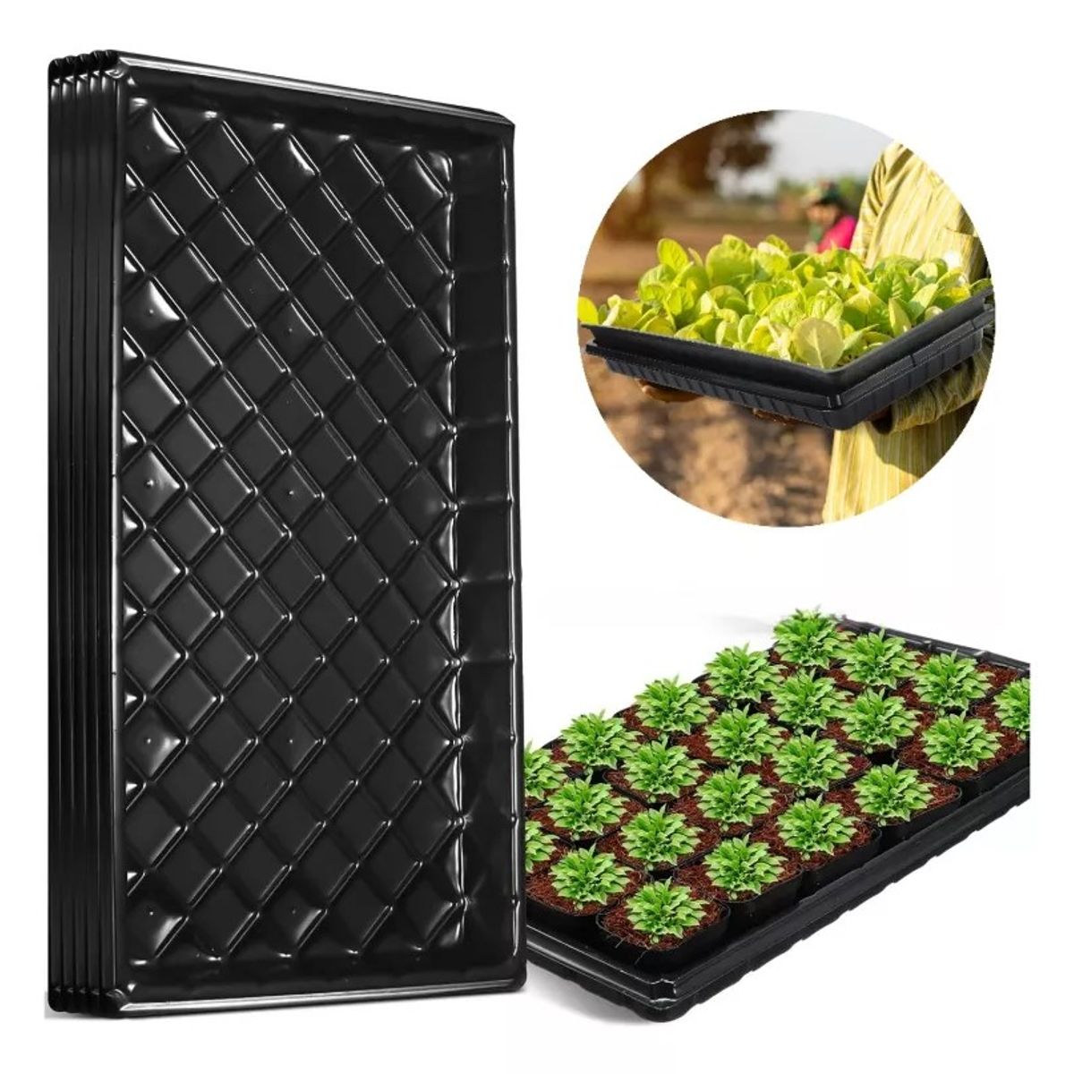 KUANGYE - Bandeja Germinación Hidroponía Forraje Sin Agujeros Set 10 U