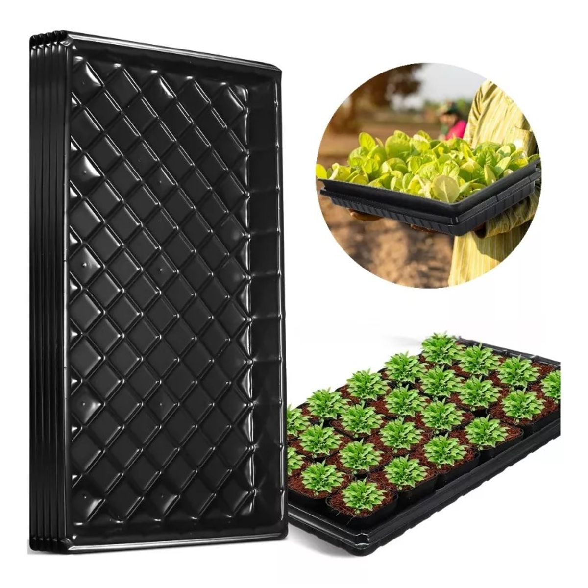 KUANGYE - Bandeja Germinación Hidroponía Forraje Sin Agujeros Set 10 U