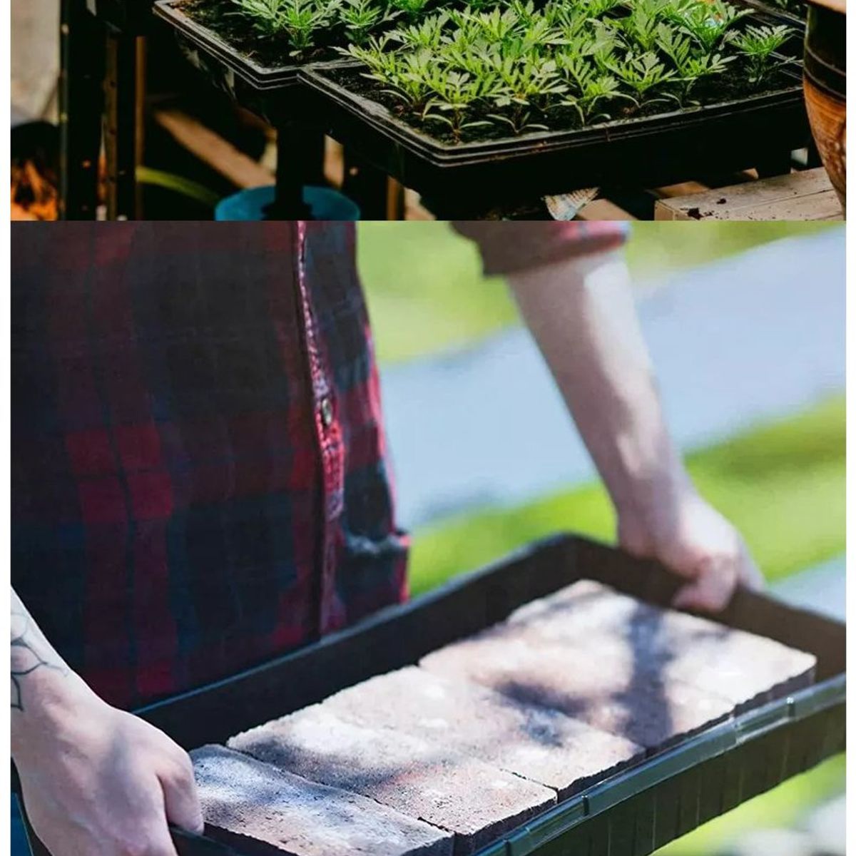 KUANGYE - Bandeja Germinación Hidroponía Forraje Sin Agujeros Set 10 U