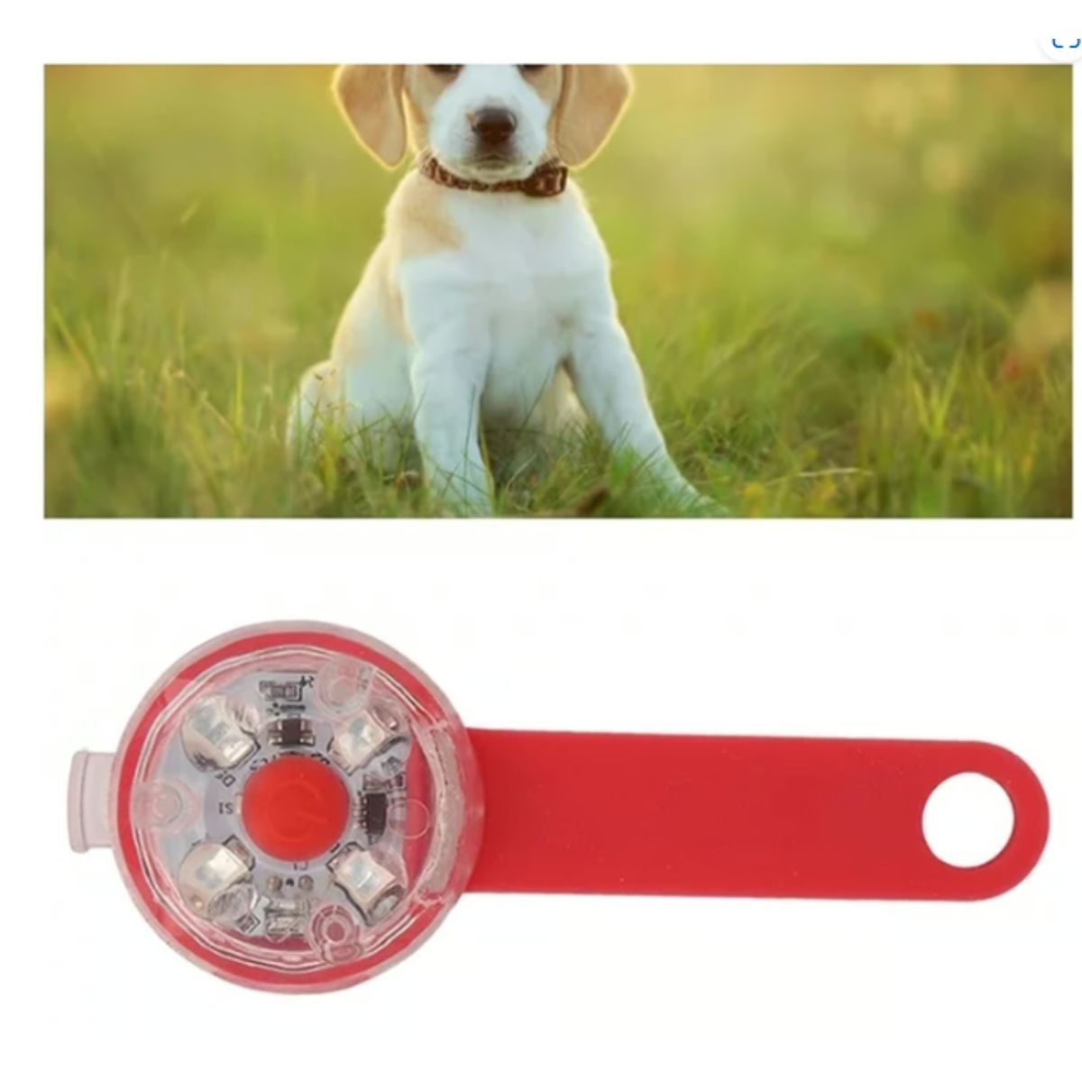 GENERICO - Collares De Perro Con Luz LED De Alta Capacidad Rojo