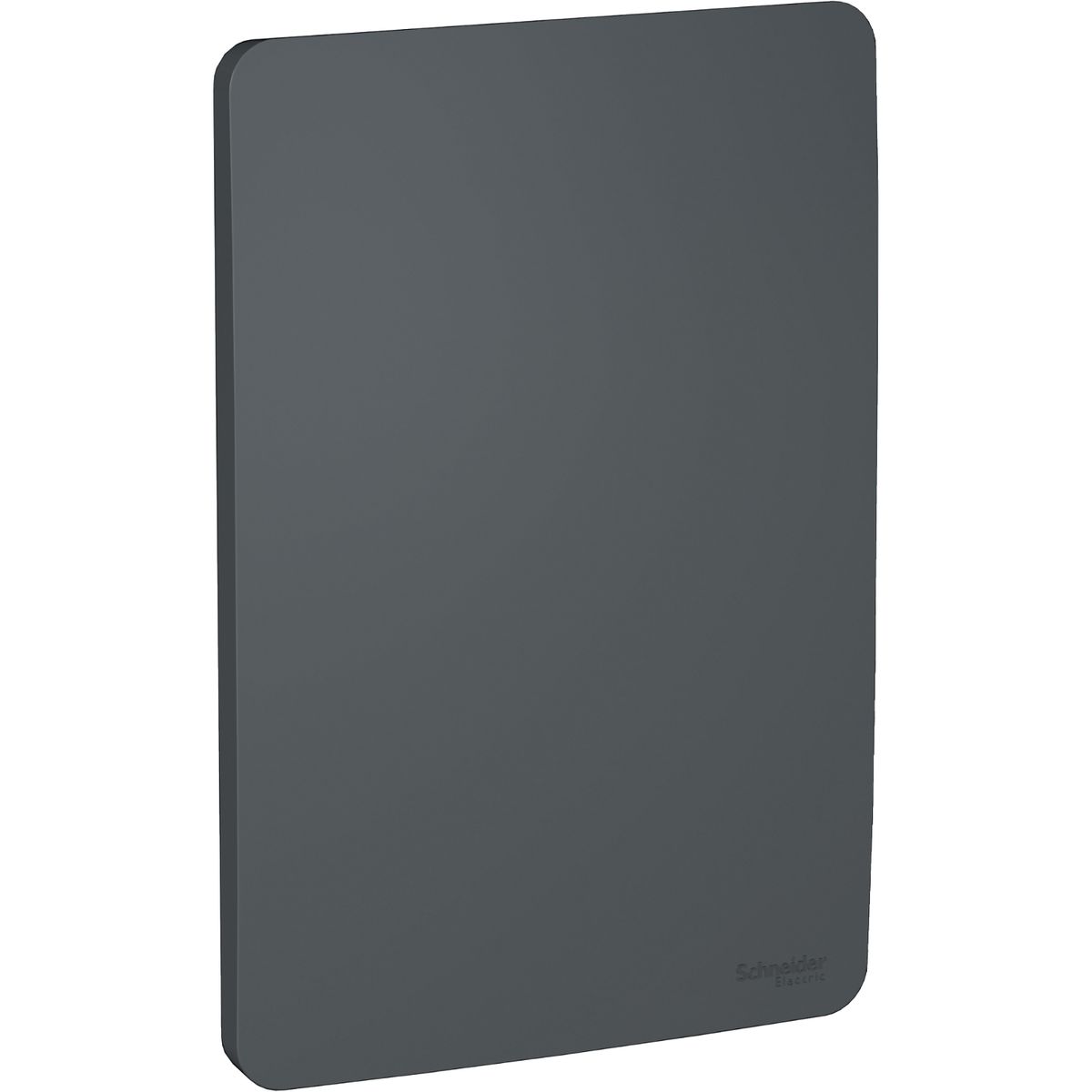 SCHNEIDER ELECTRIC - PLACA CIEGA STELLAR BLACK ORION Schneider