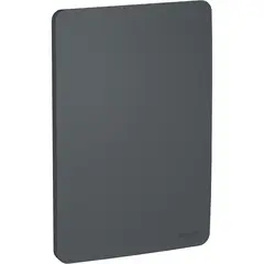 SCHNEIDER ELECTRIC - PLACA CIEGA STELLAR BLACK ORION Schneider