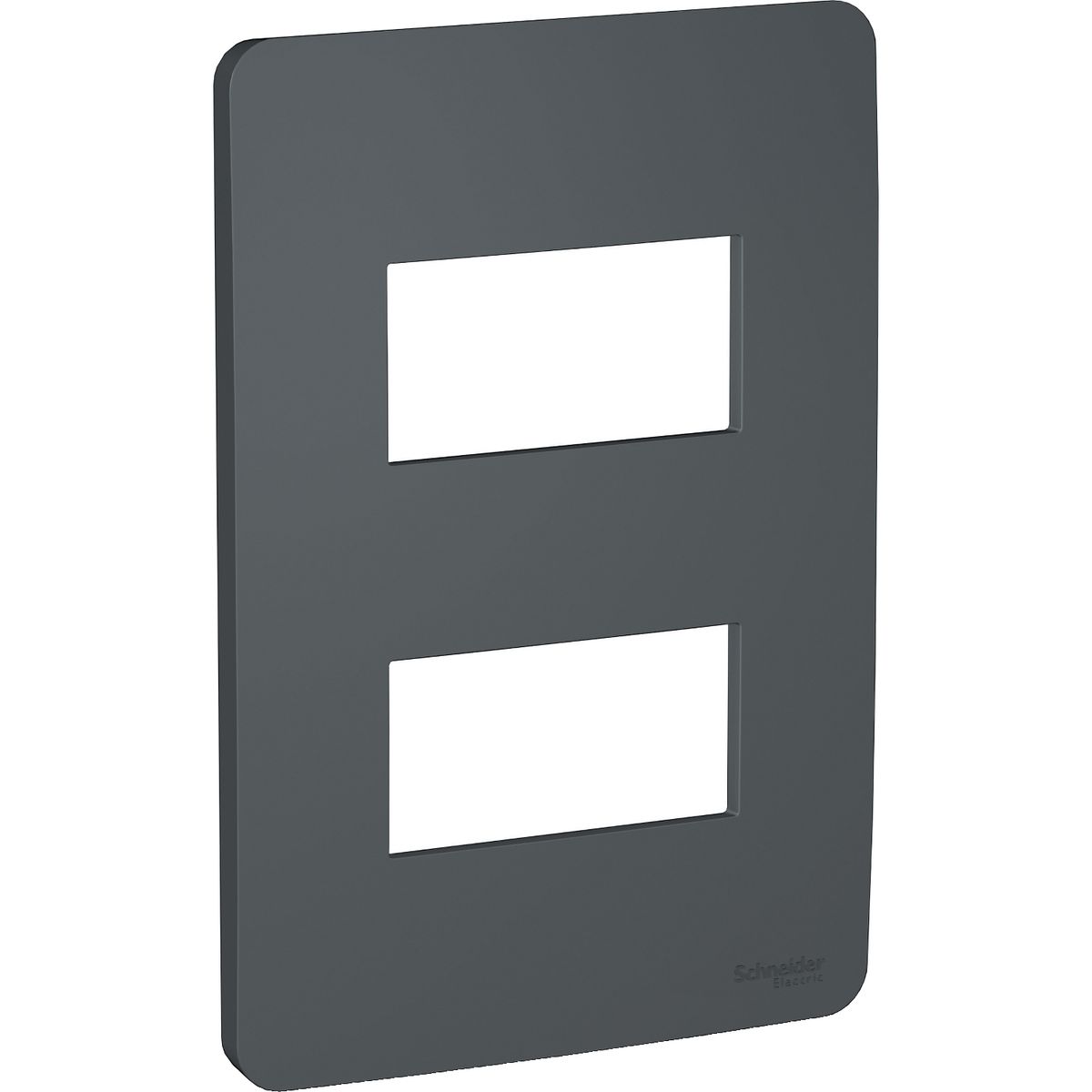 SCHNEIDER ELECTRIC - PLACA 2 PUESTOS STELLAR BLACK ORION Schneider