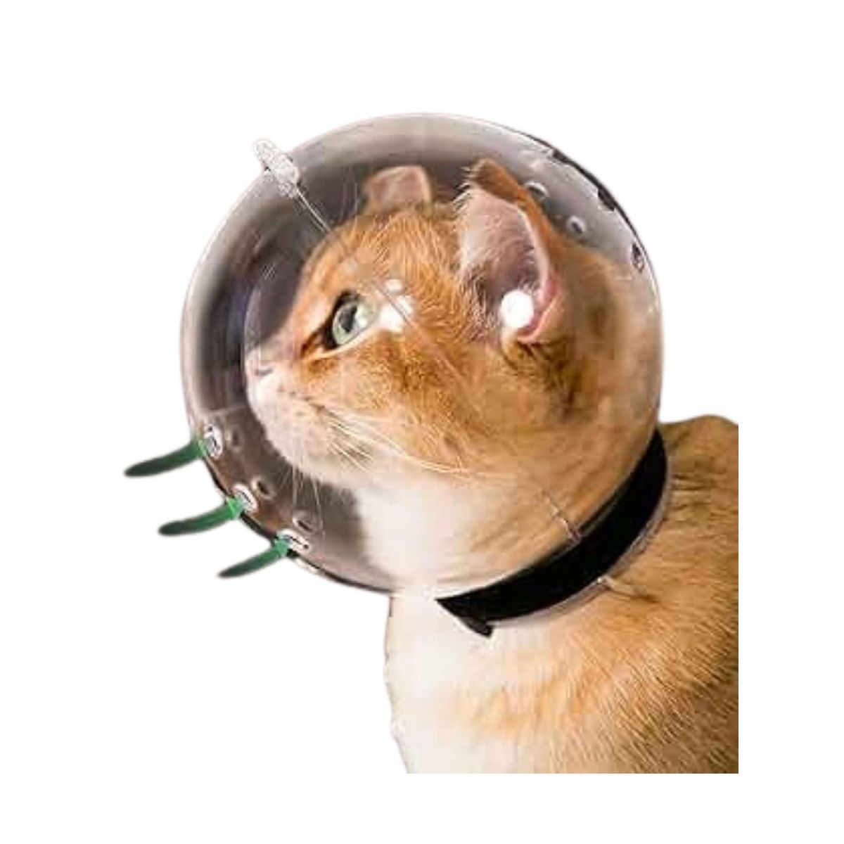 GENERICO - Bozal Cupula para Gatos protector anti Mordidas - 70mm