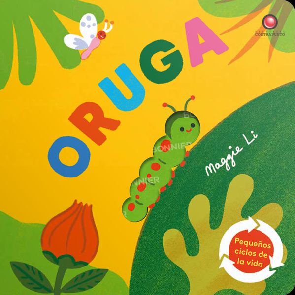 Pequenos ciclos de la vida - Oruga