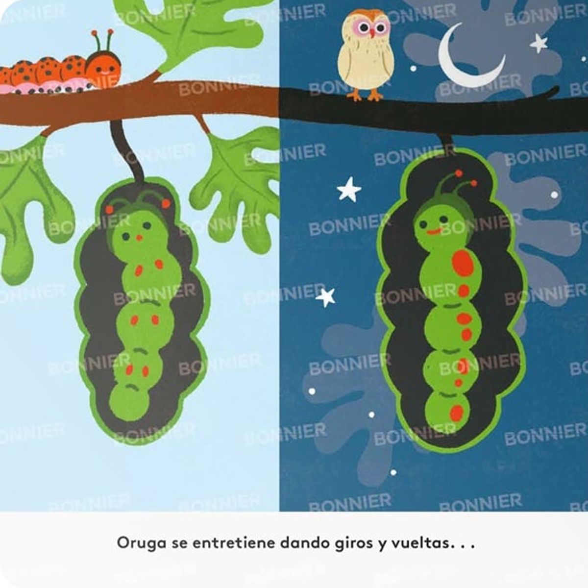 EDITORIAL CONTRAPUNTO - Pequeños ciclos de la vida - Oruga