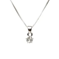 LA GARZA - Collar Plata Estrella Cristal Pequeña