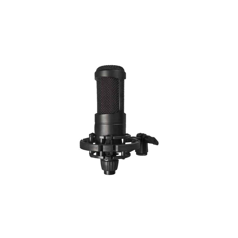 AUDIO PRO - Micrófono Estudio Condensador Xlr Hembra A 3.5 Mm - SC