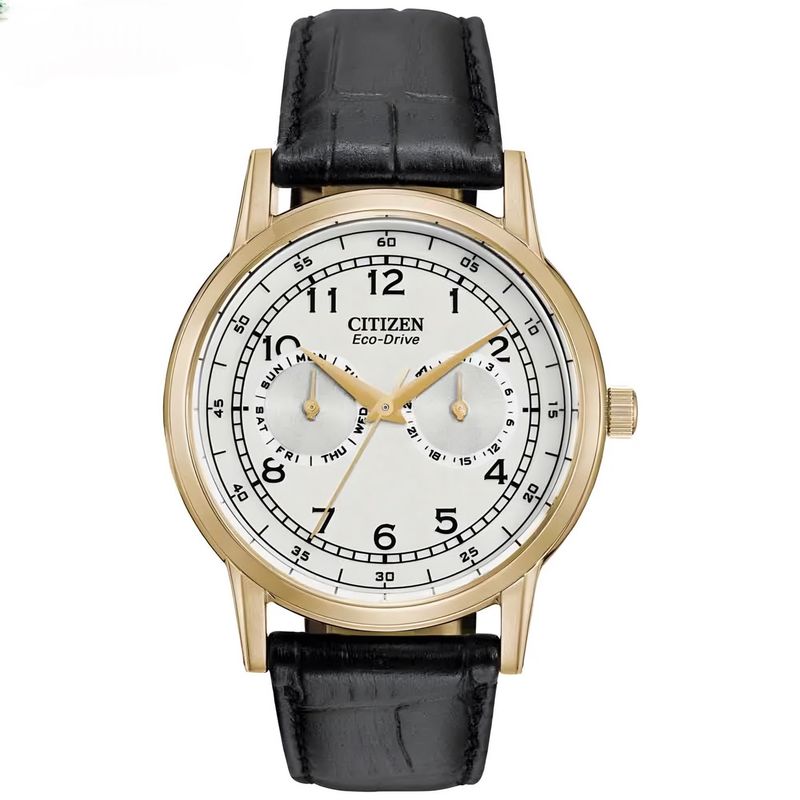 CITIZEN - Reloj Citizen Eco-Drive Cuero Negro Hombre