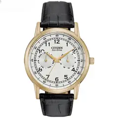 CITIZEN - Reloj Eco-Drive Cuero Negro Hombre