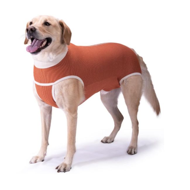 KIMBA - BODY COBRE KIMBA TRADICIONAL TALLA 2 (3,5 A 4,5 KG)