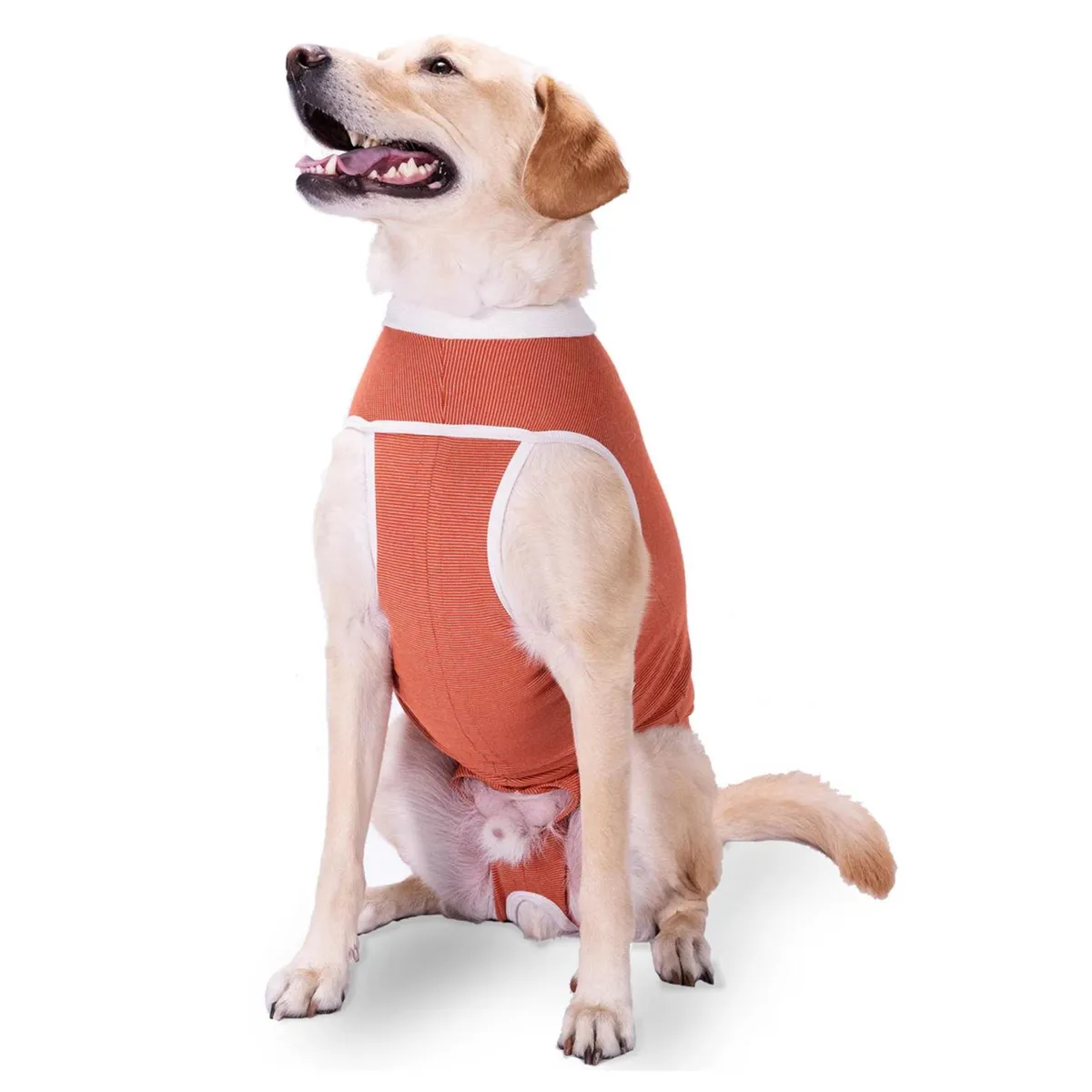 KIMBA - Body Cobre Post-operatorio Kimba - Talla 1 - 2.5 A 3.5 K