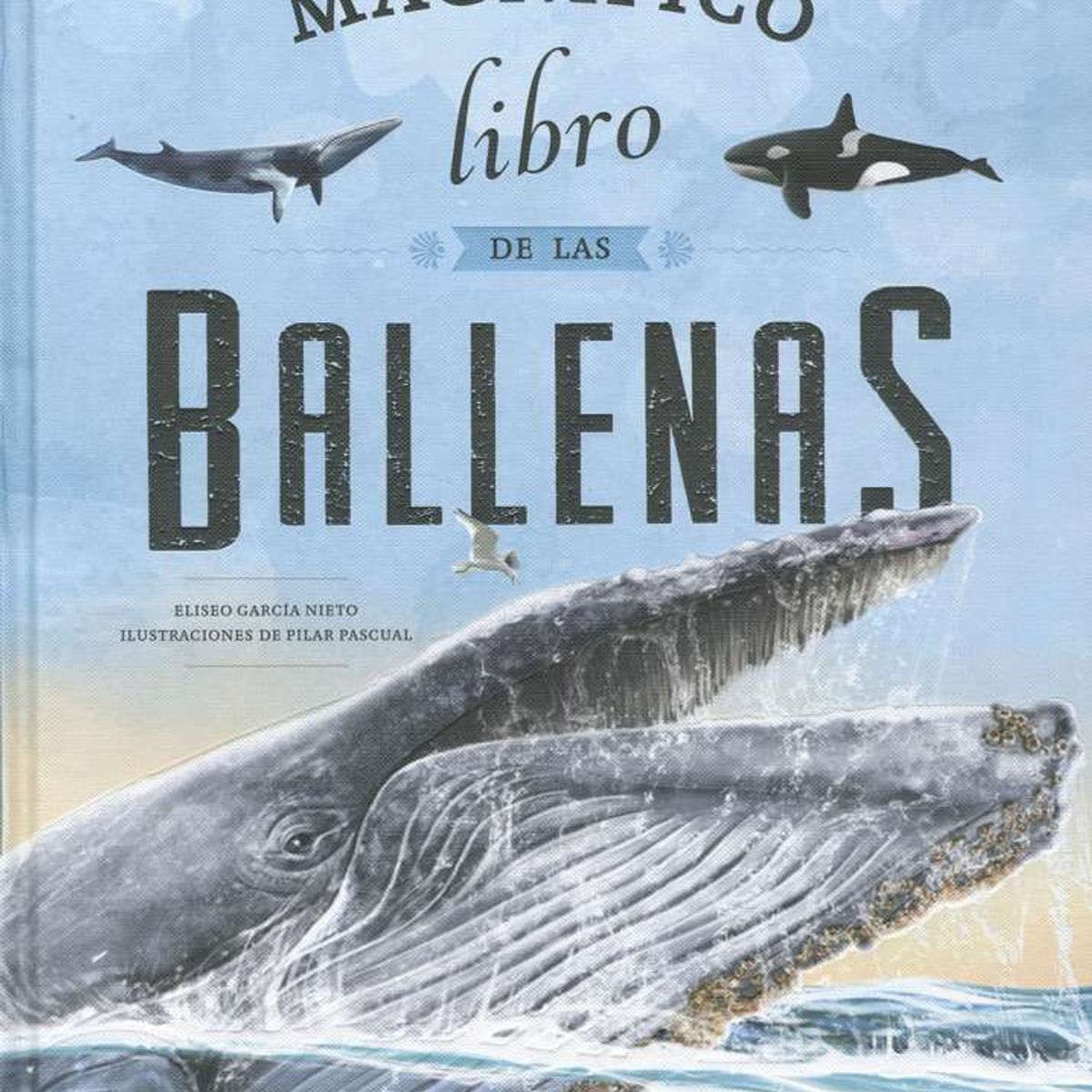 SUSAETA - El magnífico libro de las ballenas