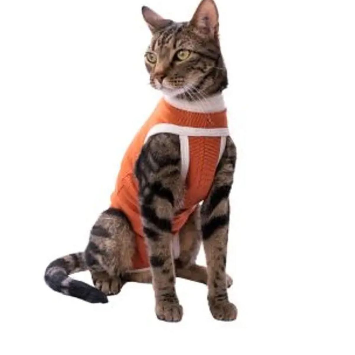 KIMBA - Body Cobre Post-operatorio Kimba - Talla 00 - 0 A 1.5 K