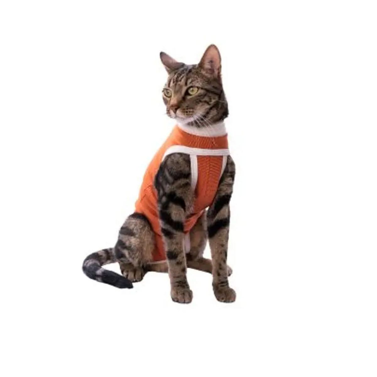 KIMBA - Body Cobre Post-operatorio Kimba - Talla 00 - 0 A 1.5 K