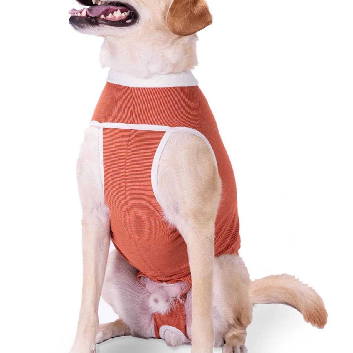 KIMBA - Body Cobre Post-operatorio Kimba Talla 12 - 35 A 40 Kilos