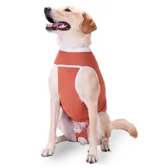KIMBA - Body Cobre Post-operatorio Talla 12 - 35 A 40 Kilos