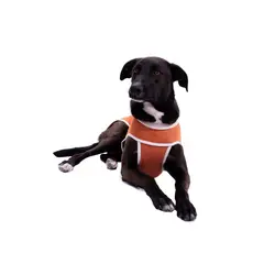 KIMBA - BODY COBRE TRADICIONAL TALLA 11 (30 A 35 KG)