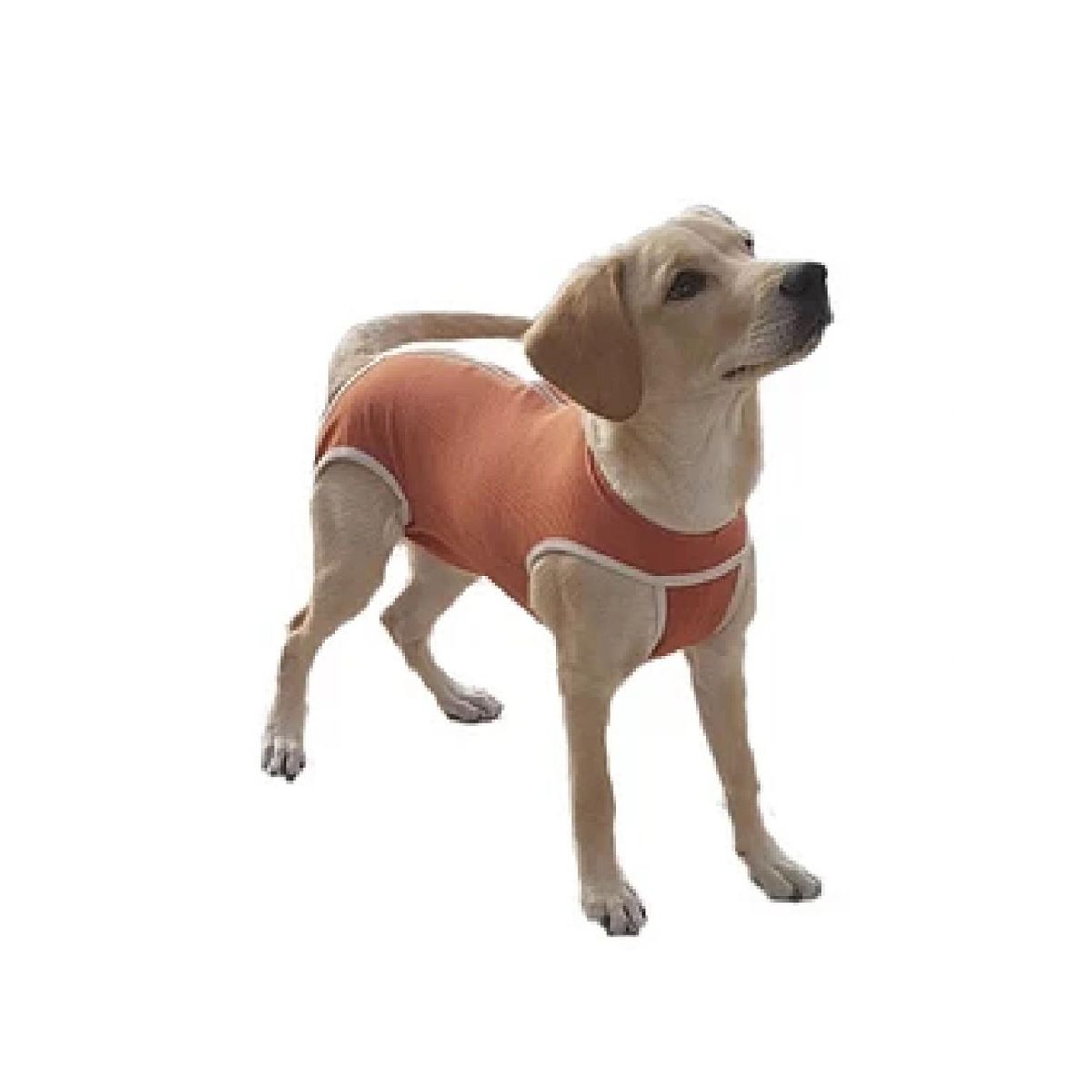 KIMBA - Body Cobre Post-operatorio Kimba - Talla 4 - 6 A 7.5 K